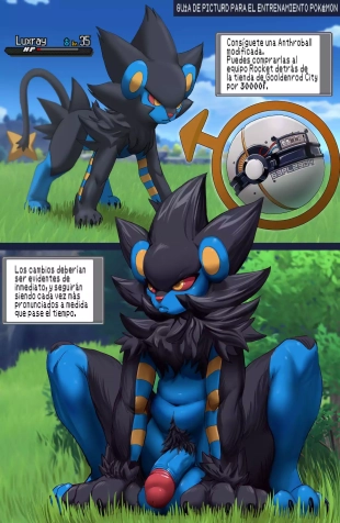 Picturd\'s Guide to Pokemon Training